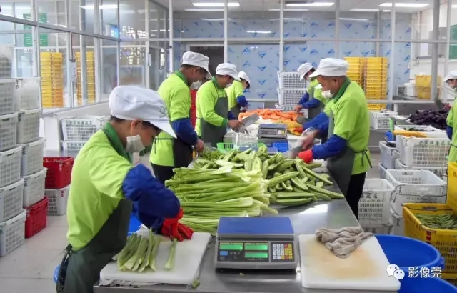 莞港記憶 農副產品鏡頭中的時光印記